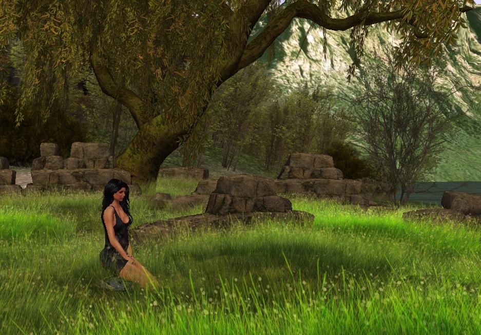 20170318_Meditation_Life Revisited