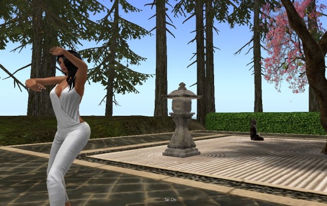 20170319_TaiChi Kito Gardens