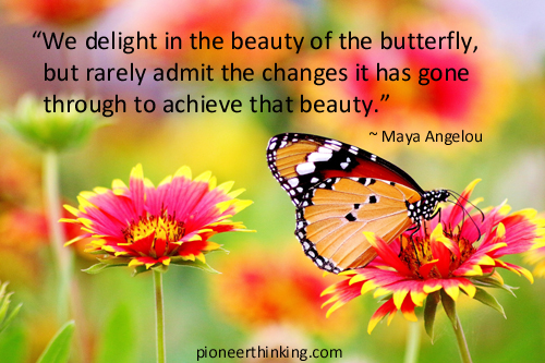 beauty of the butterfly